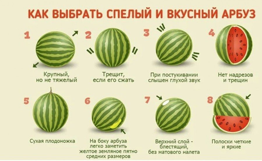 Как определить ядовитый арбуз?