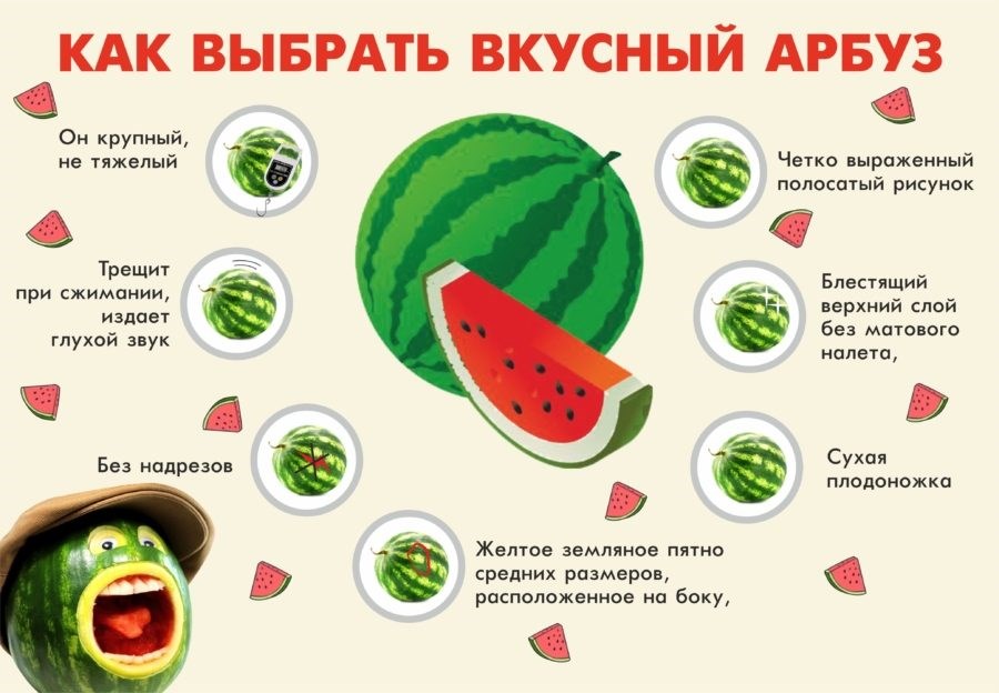 Как проверить, вкусный и сладкий ли арбуз?