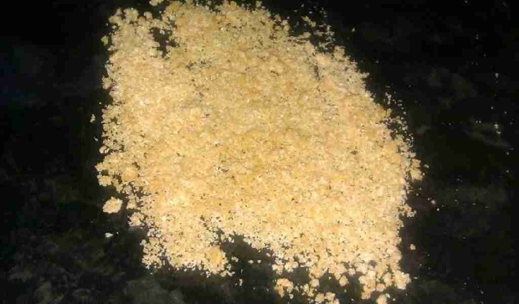 В чем опасность ДМТ?