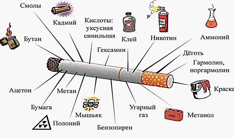 Чем отличается бумага для самокруток от обычной?